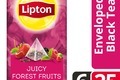 LIPTON TEA EXCLUSIVE SELECTION Bosvruchten 6x25 envel.