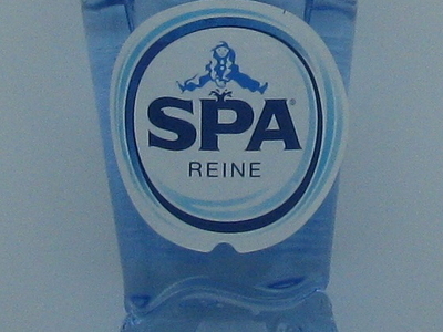 SPA REINE WATER 33 cl petfles tray 24 st