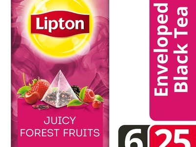 LIPTON TEA EXCLUSIVE SELECTION Bosvruchten 6x25 envel.