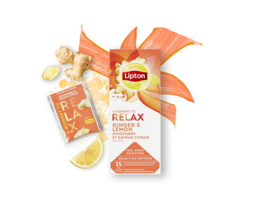 LIPTON FGS Ginger & Lemon 6x 25 zk.