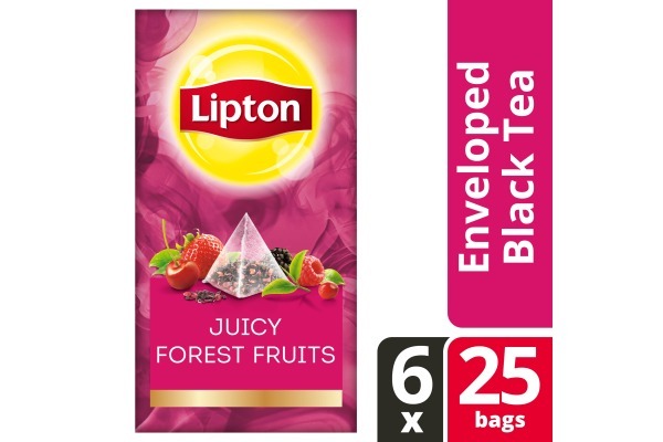 LIPTON TEA EXCLUSIVE SELECTION Bosvruchten 6x25 envel.